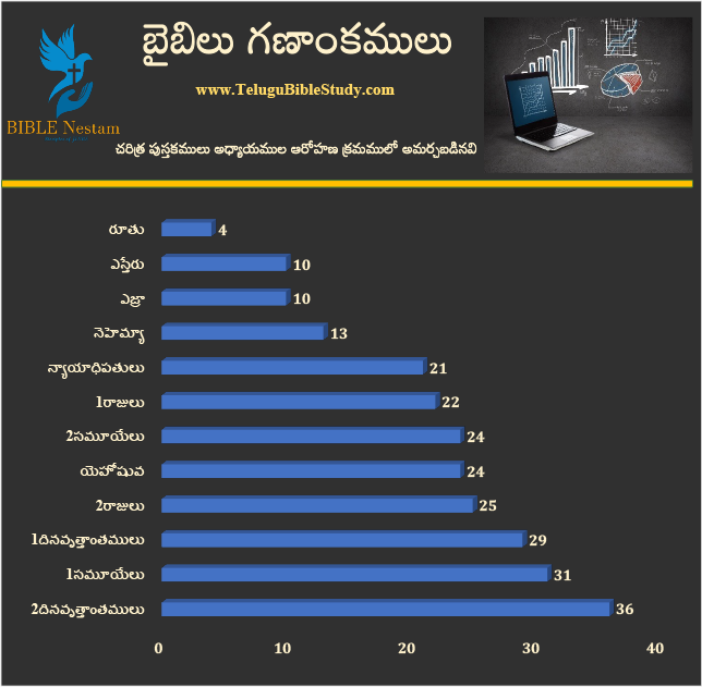 Bible Stats Graph
