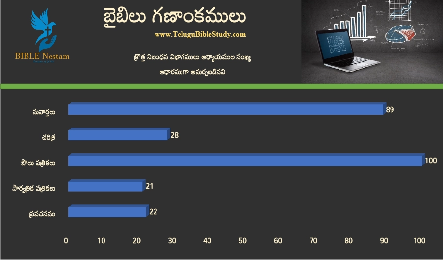 New Testament Divisions